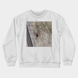 A Daddy Long Leg Spider Crewneck Sweatshirt